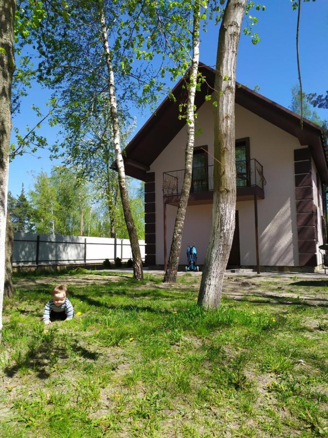 Чорний Лелека Switjas Exterior foto