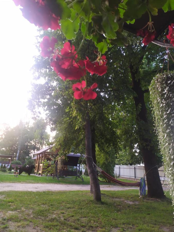 Чорний Лелека Switjas Exterior foto